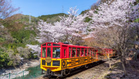 Sagano Romantic Train For Spring in Arashiyama Bus Tour