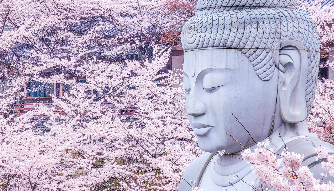 Cherry Blossom Buddha and Mt.Yoshino Tour