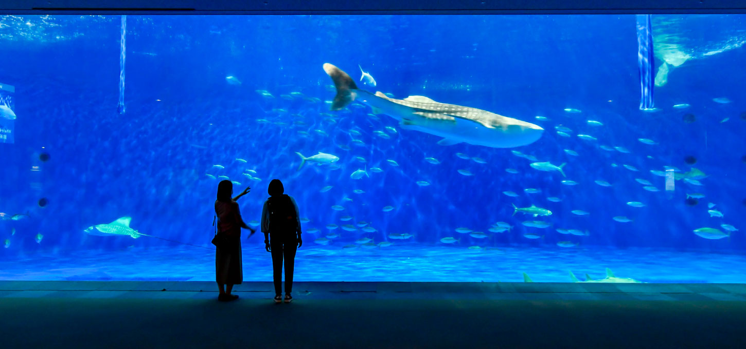 Kagoshima City Aquarium