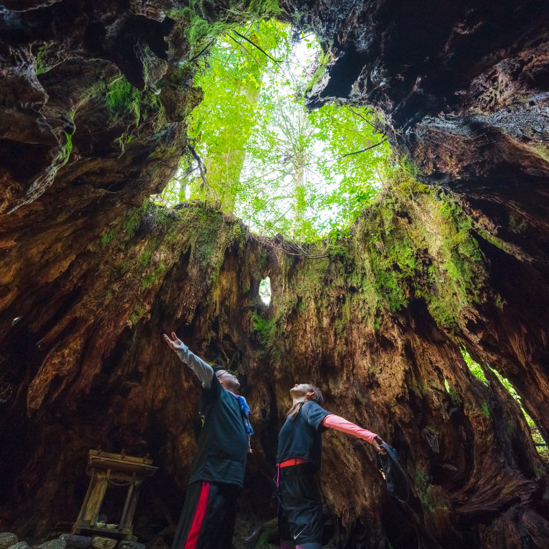 YAKUSHIMA TOUR