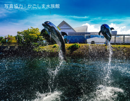 Kagoshima Io World Aquarium