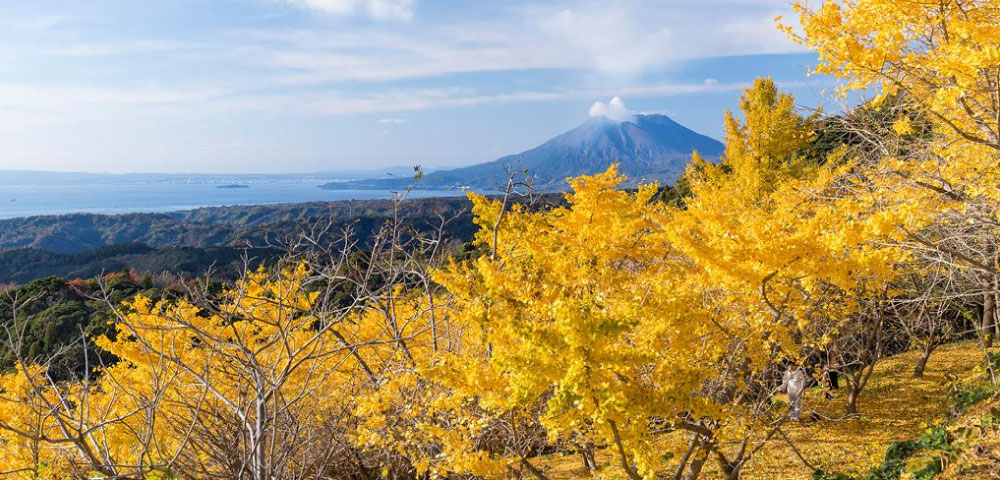 Osumi Peninsula