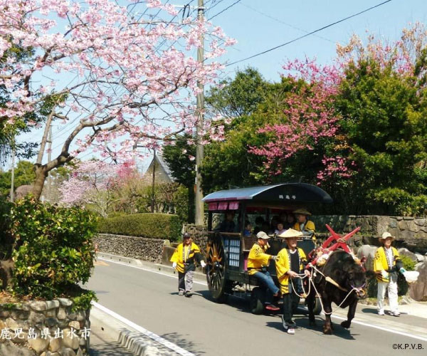 
                            Izumi Samurai Residence