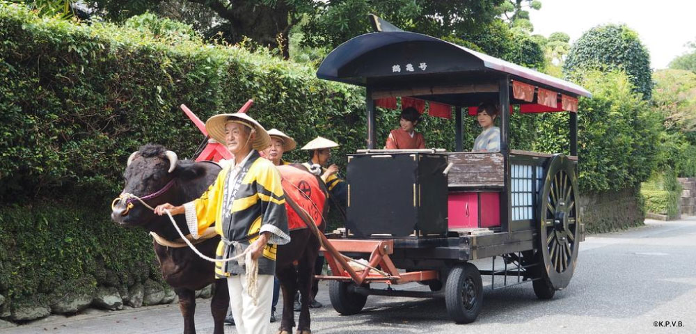 Izumi sightseeing oxcart