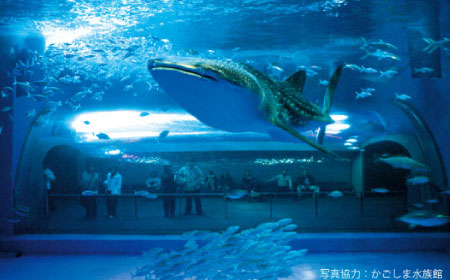 Kagoshima City Aquarium