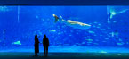 Kagoshima City Aquarium