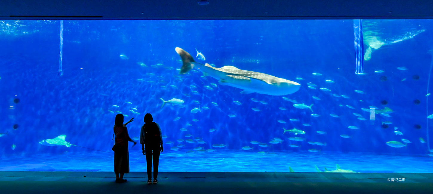 Kagoshima City Aquarium