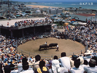 Tokunoshima