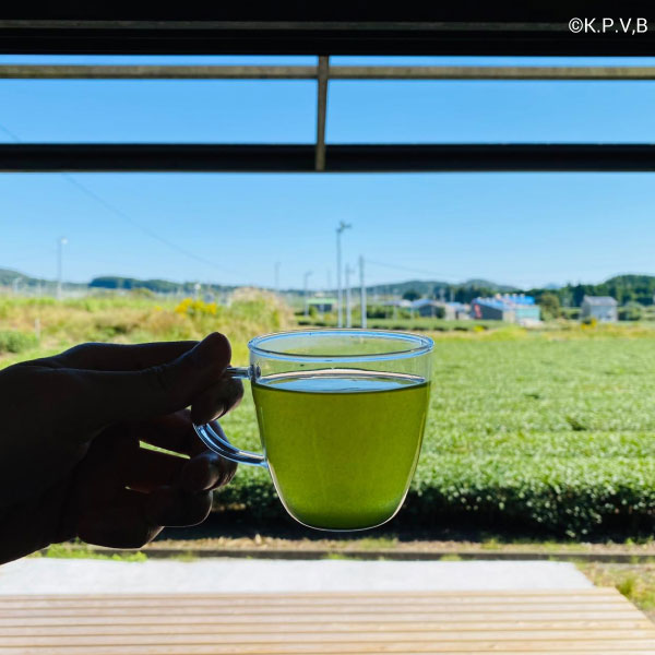 Kagoshima tea