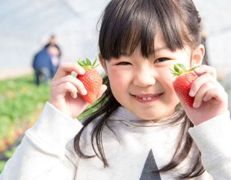 Kawasaki Strawberry