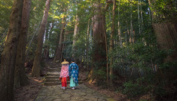 Kanazawa half day Historical photo spot Walking Tour