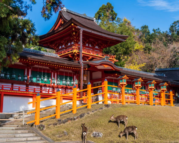 Discover Nara Kasuga Taisha