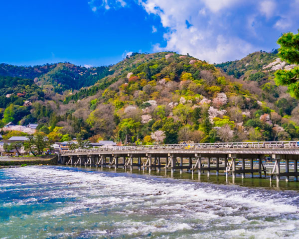 Discover Arashiyama