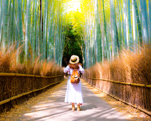 Discover Arashiyama