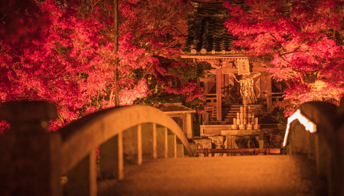 Kyoto Half Day Walking Tour with the Illumination