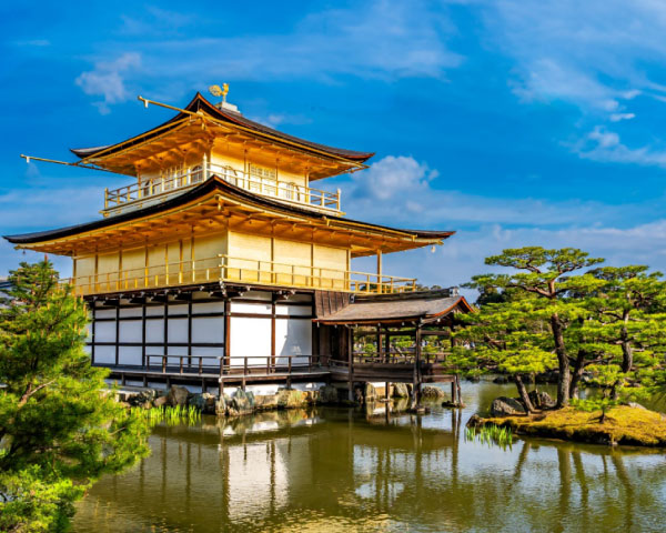 Kyoto and Nara Golden Route 1 Day Bus Tour