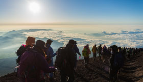 Mt.Fuji & Cherry blossom Tour