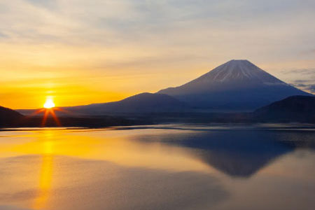 Cherry blossom tours in Kyoto