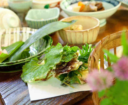 Wild vegetable tempura