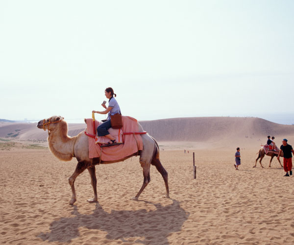 Camel ride experience