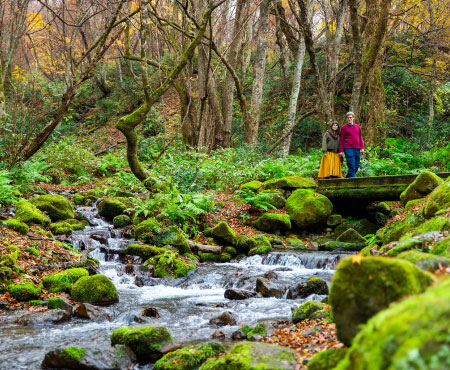 Kitanizawa mountain stream