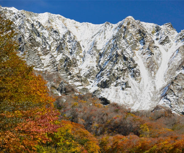 Autumn -Autumn leaves and remaining snow on Mt. Daisen