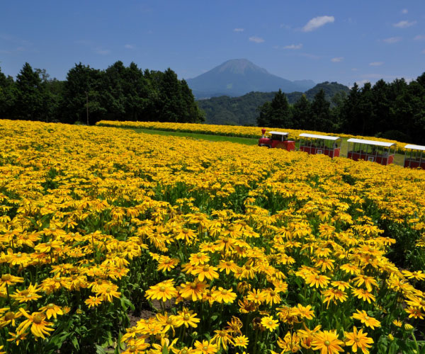 Tottori Hanakairo