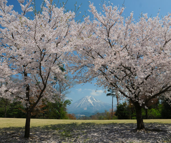 Tottori Hanakairo