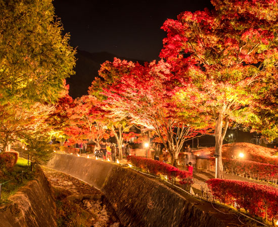 Autumn: Momiji Corridor