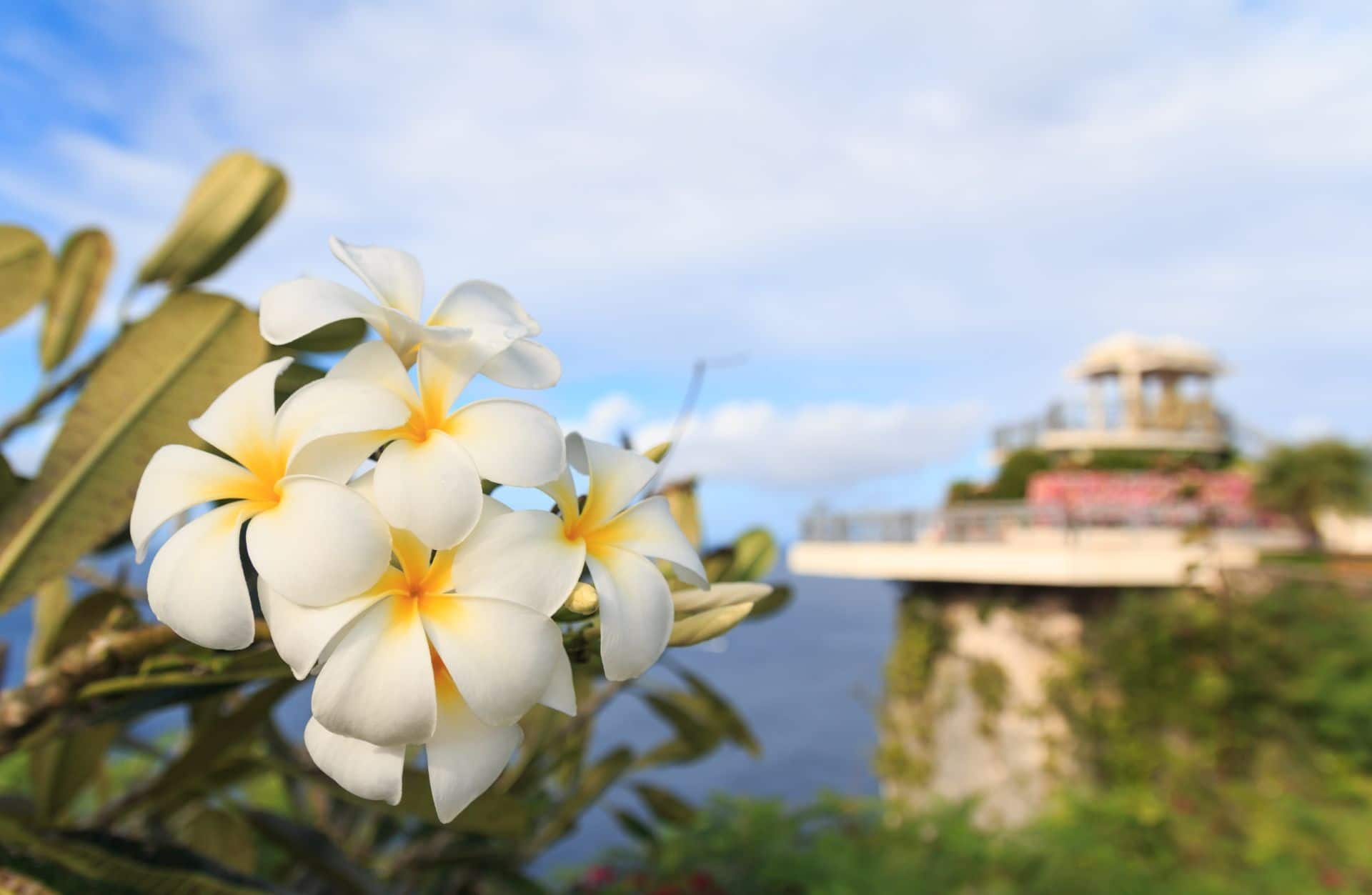 グアムの風景