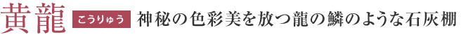 こうりゅう