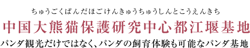 パンダ観光だけではなく、パンダの飼育体験も可能なパンダ基地