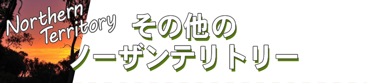 その他のノーザンテリトリー