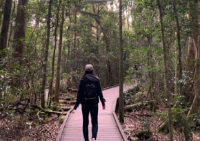 世界自然遺産ラミントン国立公園