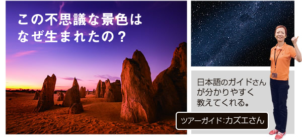 南十字星やミルキーウェイが輝く星空。