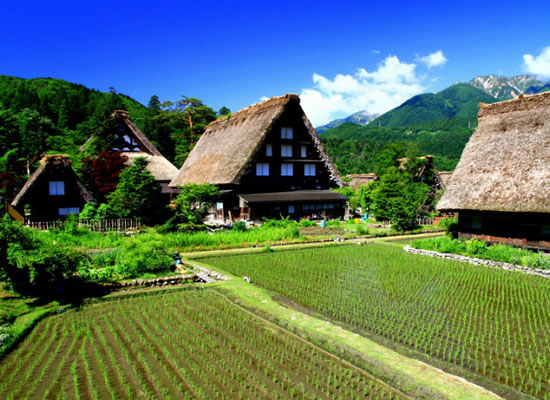 世界遺産 白川郷バスツアー 旅行 His 国内旅行