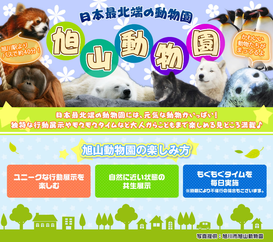 His ａｎａで行く北海道 滞在中レンタカーｓクラス付 旭山動物園の入園券付 旭川 札幌4日間 近畿発