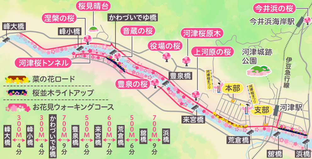 河津桜まつりマップ