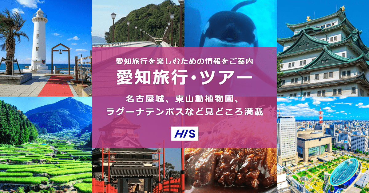 新潟 名古屋 パック 旅行 人気