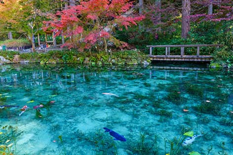 中部（東海）旅行