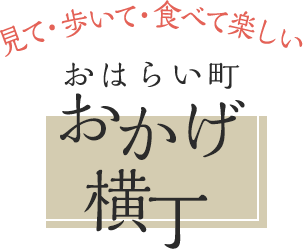 見て・歩いて・食べて楽しいおはらい町おかげ横丁