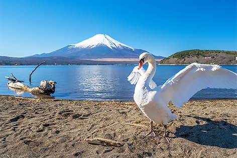 山中湖