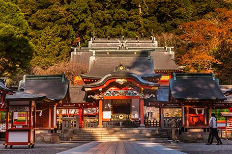 鹿児島 パック 旅行 コレクション 格安