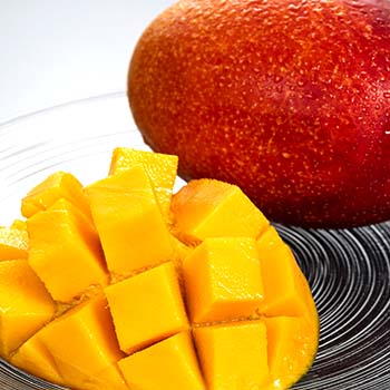 マンゴー