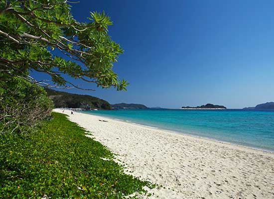 沖縄　座間味島