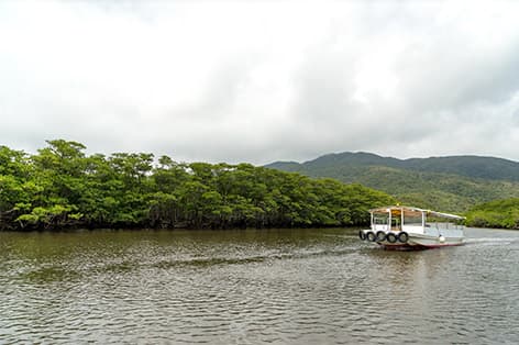 西表島_仲間川