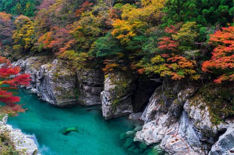 徳島旅行･ツアー