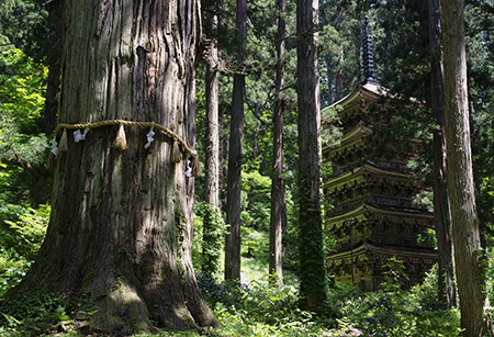 山形_羽黒山（イメージ）