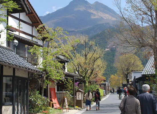 湯の坪街道・冬