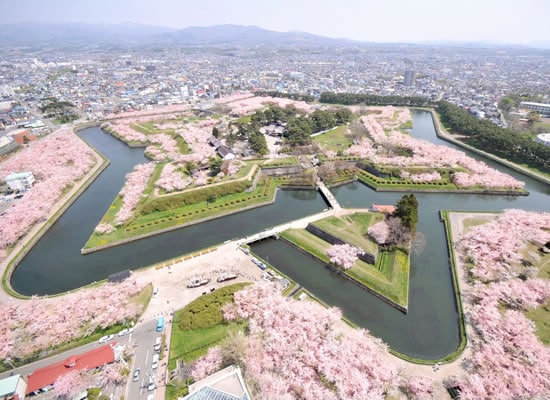 函館五稜郭タワーからの眺望_5月頃撮影_イメージ